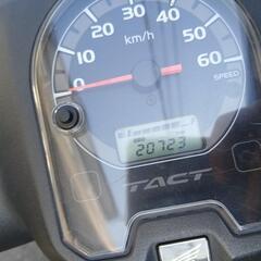 ホンダ　タクト・ベーシック　AF79　Vベルト交換済！グリップヒーター付の画像