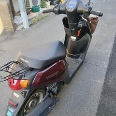 ホンダ　タクト・ベーシック　AF79　Vベルト交換済！グリップヒーター付の画像