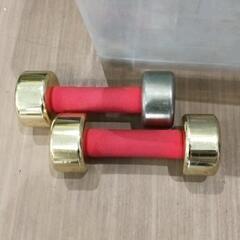 0419-179 ダンベル3kg2つ
