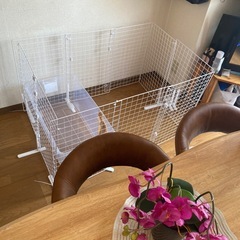 【早い方優先】うさぎ　飼育セット