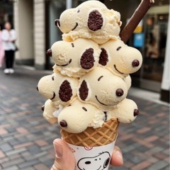 ご飯やイベント仲間募集！