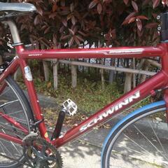 SCHWINN ロードバイクの画像