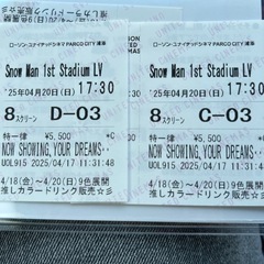 SnowMan ライブビューイング　チケット　2枚