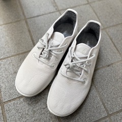オールバーズ  スニーカー白 【30㎝】の画像