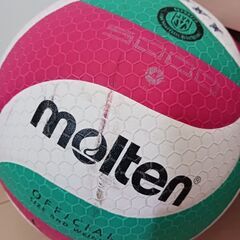 大田区ママさんバレーボールメンバー募集
