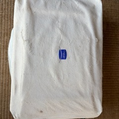 【近ければ届けます。】美顔器 コスミックデュオ501/503の画像