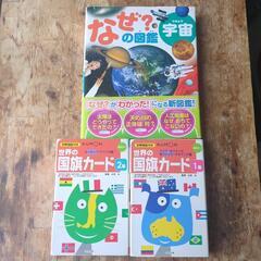 4/27迄にお渡し※本人確認登録者限定 ¥4,500円分 国旗ｶ...