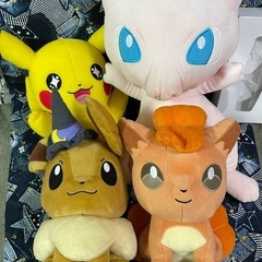ファッション ポケモンぬいぐるみセット (C-HR) 旭橋のおもちゃ《ぬいぐるみ ぬいぐるみ