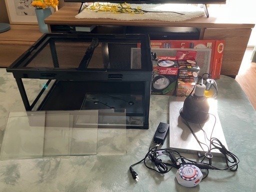 【定価約7万】フトアゴ飼育セット