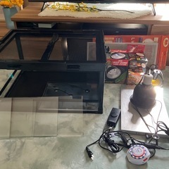 【定価約7万】フトアゴ飼育セット