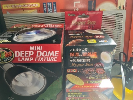【定価約7万】フトアゴ飼育セット