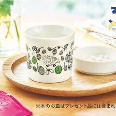 ファンケル フリーカップ＆トレイ 未使用 松尾ミユキの画像
