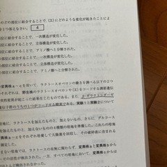北里大学　2023の画像