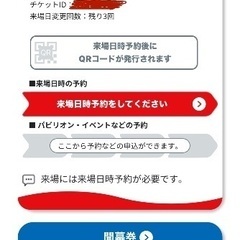 関西万博開幕券 2025年4月26日までの券です。