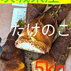 竹の子　5キロ　米ぬかつき　②