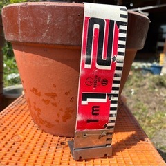 菊　植木鉢　素焼き