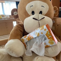 5月に処分します　ぬいぐるみの画像
