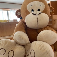 5月に処分します　ぬいぐるみ