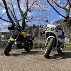 ホンダ　250R  MC19　ハリケーンの画像