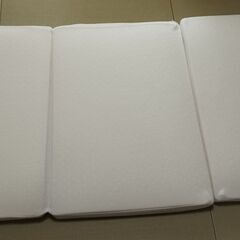 トゥルースリーパーの中古が安い！激安で譲ります・無料で