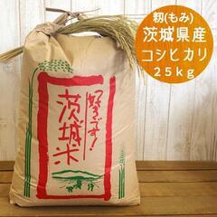 精米済み(白米) 約18kg  コシヒカリ