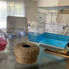 鳥かごセット