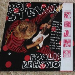 ロッド・スチュワート  パンドラの匣　【LP】の画像