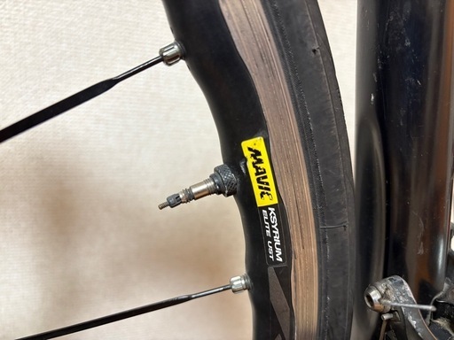 ロードバイク giant tcr