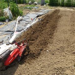 農機具　耕運機　ヤンマー　一輪管理機　5.8ｐｓ 中耕　除草　畝たて　土寄せの画像