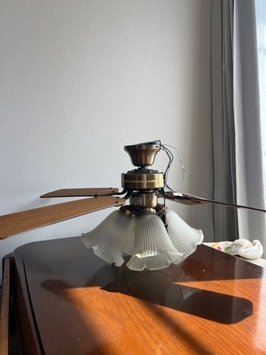 シーリングファン