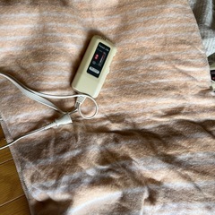 電気毛布　1人用　4枚あります^^の画像