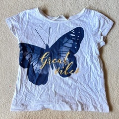 H&M 蝶々 Tシャツ ベビー キッズ 90 100