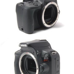 届いてすぐに使える Canon kiss X7 レンズキット 簡単操作 バック付の画像