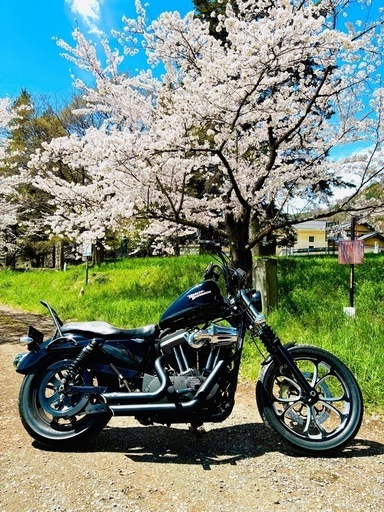 美車　ハーレー883R 2009年車インジェクション　カスタム多数スポーツスター