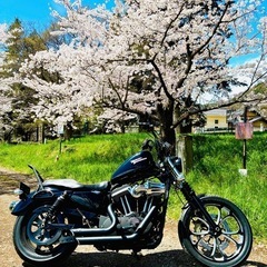 美車　ハーレー883R 2009年車インジェクション　カスタム多...