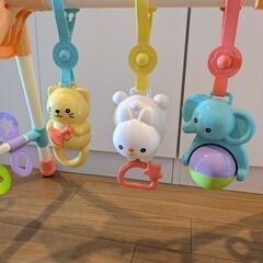 ベビージム　ロイヤルの画像