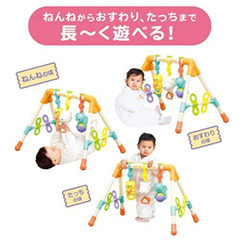 ベビージム　ロイヤルの画像