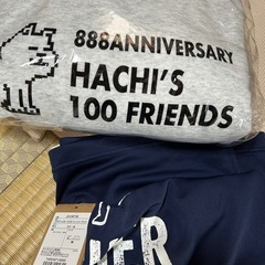 合計10枚　ロックTシャツ7枚とMr.Bigポーチ1つ。おまけに未使用スポーツTシャツとパーカーの画像