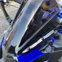 GSX250R ローダウン 低走行の画像