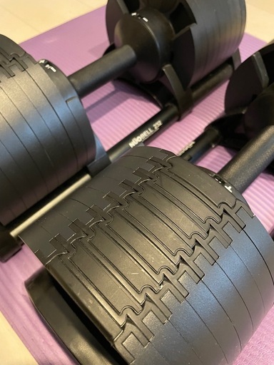 フレックスベル(FLEXBELL) 可変式ダンベル 2kg刻み 32kg×2個セット ブラック 正規品