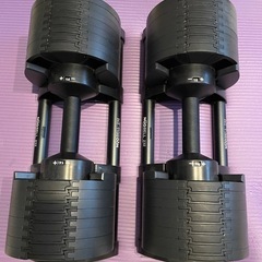 フレックスベル(FLEXBELL) 可変式ダンベル 2kg刻み ...