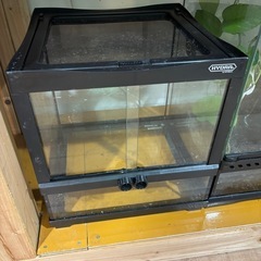 完売御礼】みうち米コシヒカリ玄米30kg (米屋りょう) 松山の
