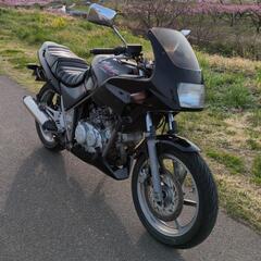 MC25