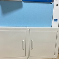 終了　温室セット（カブト・クワガタ）の画像