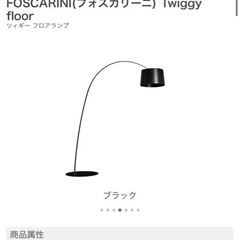Cassina IXCフォスカリーニTwiggy floor