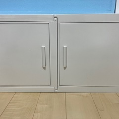 終了　冷やし虫家（カブト・クワガタ）