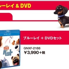 ペット　DVD➕Blu-rayの画像