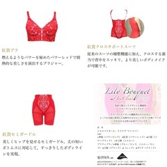 サミットインターナショナル リリーブーケイオンクリア 王姫 紅貴セットの画像