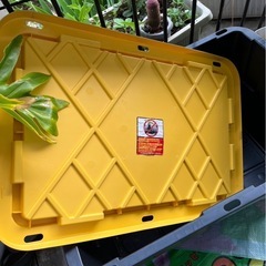 コンテナの画像