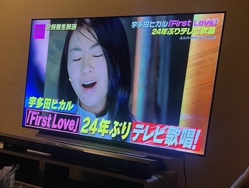 LG有機ELテレビ55CL (ぽんちゃん) 天神のテレビの中古あげます LG有機ELテレビ55CL (ぽんちゃん) 天神のテレビの中古あげます